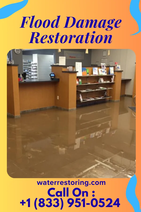Flood Damage Restoration in Hokes Bluff, AL